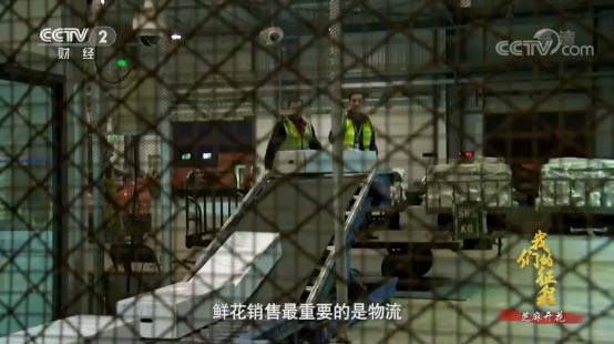 Ѻ͵ͨFҕoƬЇ70ꡪ҂̡