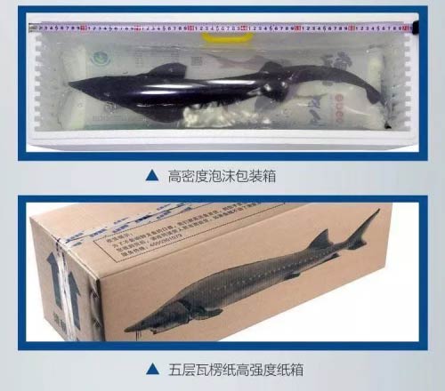 Q:@Nb,S\~f߀ЩbڿƼ?