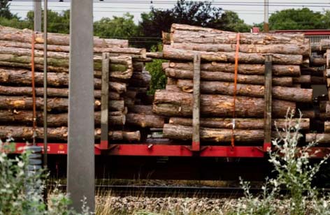 ΢ňDƬ_20191210180936