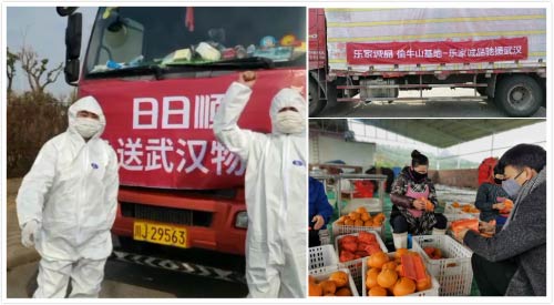 \Ʒ͵ţɽٳB(ti)؞鿹һt(y)oˆTȥ1.2fҰҸ