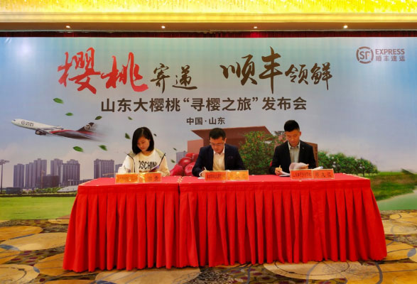 ӴYԴͶcȣ(dn)܇(ch)ģʽȡ