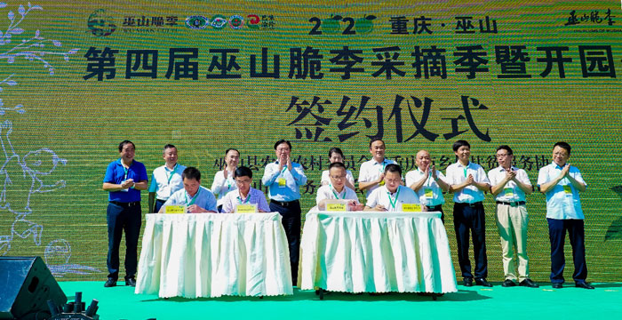 S}񄦡(lin)ؑcɽɽƷIP