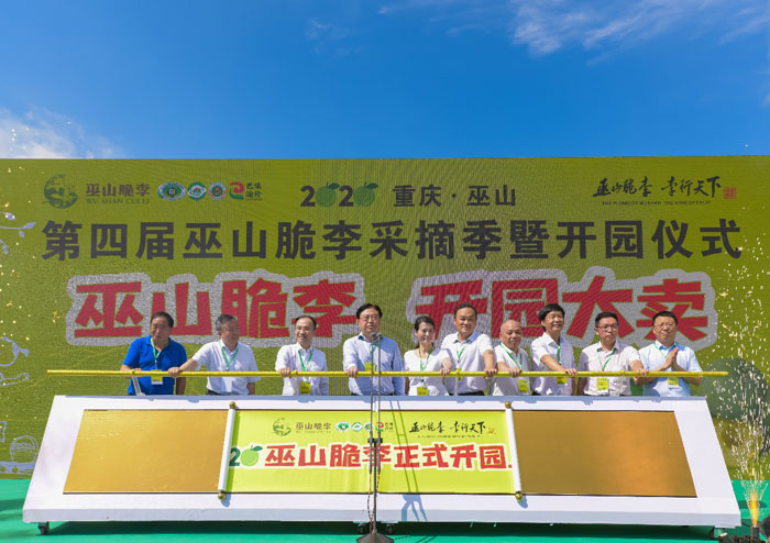 S}񄦡(lin)ؑcɽɽƷIP