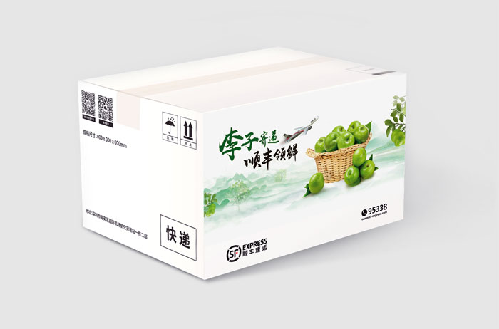 S}񄦡(lin)ؑcɽɽƷIP