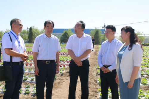 Ĺԭԭ݅^(q)߲˹(ji)ʢĻ