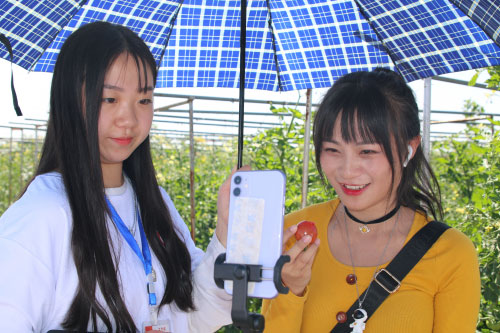 Ĺԭԭ݅^(q)߲˹(ji)ʢĻ