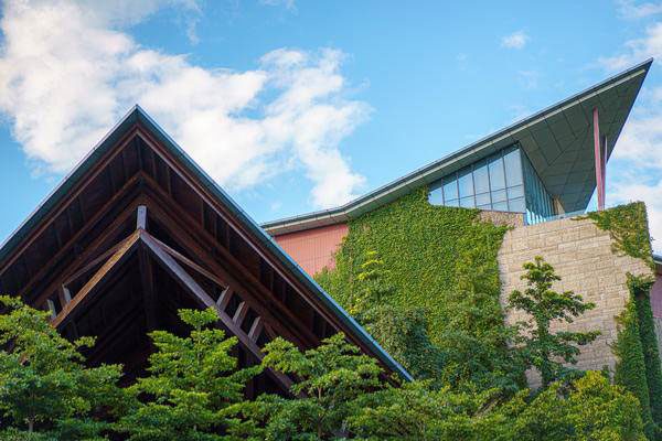 ɽ[㣬-[ɽӾƵY_˼