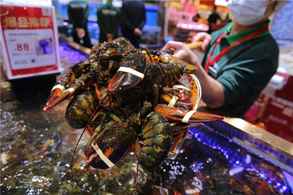 ʳڏVζڷخrзخӳǵ_Tӭ