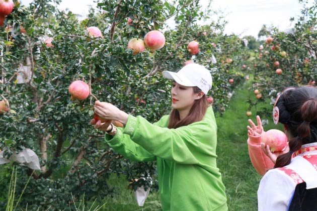 AƳͼoƬЇpؚܴaޱIRֱķؚ