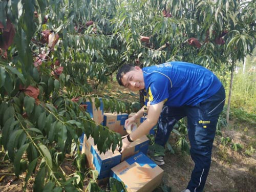 `Ѓɕح°fӏGɫf fM塱xld