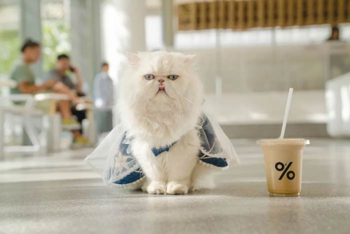 һꅢ؈p11_ϼ(x)ĿףƌģʽڱͶY˟