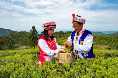 qĩKжԴɣֲ ƷWُϵлӈAMչ