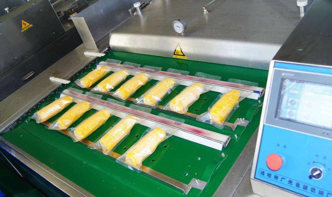 2021꾩|Ⱥõꡱُ񹫲 y錚̼ұFɫ