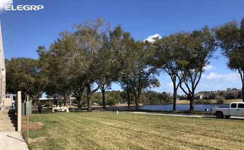 汱}(cng)(ch)ʽãٺI(y)(w)l(f)չ