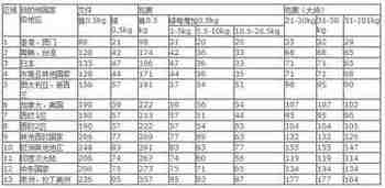 TNT(gu)Hf(bo)r(ji) ݇(gu)Hf(bo)r(ji)